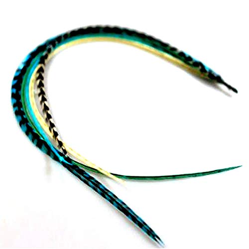 Feather Hair Extension – Turquoise and Grizzly Feathers, All Bonded Together at the Tip, Ranging From 7 to 10 Inches in Length, With a Total of 5 Feathers