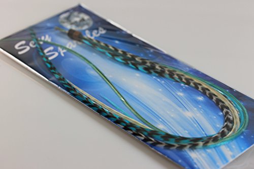 Feather Hair Extension – Turquoise and Grizzly Feathers, All Bonded Together at the Tip, Ranging From 7 to 10 Inches in Length, With a Total of 5 Feathers