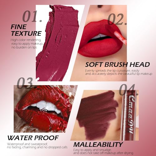 evpct 1Pcs Wine Red Liquid Matte Lipstick Lipgloss Set for Women, labiales mate 24 horas originales matte larga duracion 24 Hour Lipstick Lip Stains Long Lasting Waterproof 24, 17#