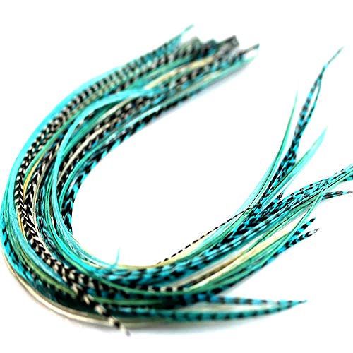 Feather Hair Extension – Turquoise and Grizzly Feathers, All Bonded Together at the Tip, Ranging From 7 to 10 Inches in Length, With a Total of 5 Feathers