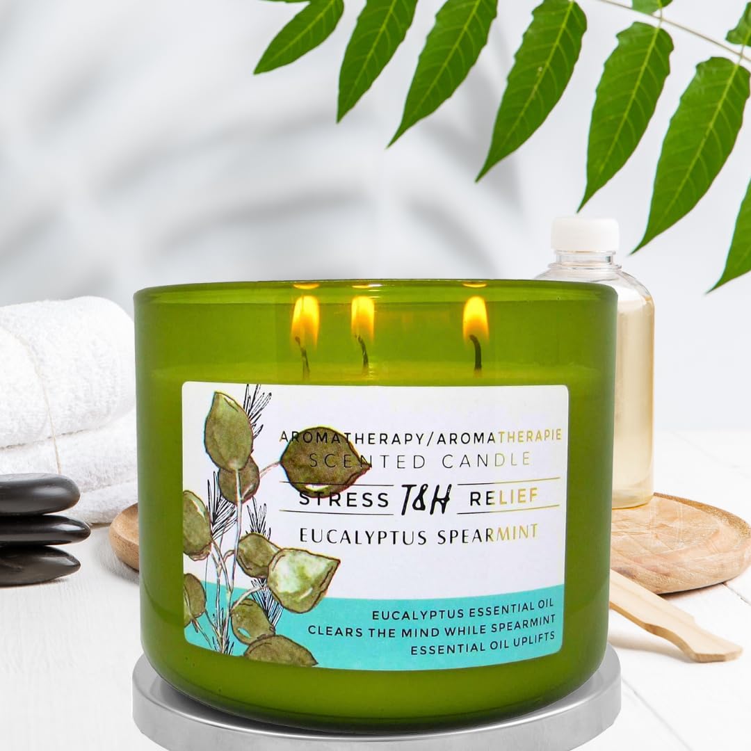 Eucalyptus Spearmint Aromatherapy Candle 3-Wick | Soy Scented Candles for Home | 15.8 oz Large Candle for Men and Women | Long Lasting Eucalyptus Candles | Decorative Candle Gift