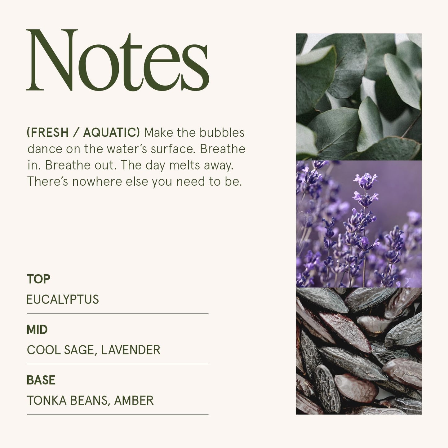 LA JOLIE MUSE Scented Candles Eucalyptus & Alpine Sage, 19 oz Large Wood Wicked Candle, Decorative Candles in Glass, Natural Soy Wax, 90 Hours Long Burning