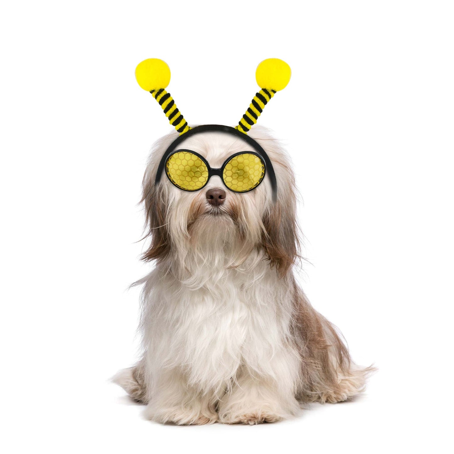 Trounistro 16 Pack Bee Headband and Glasses Set Bee Antenna Headband Boppers with Bee Sun Glasses Honey Bee Costumes for Fancy Dress Party Halloween Decoration