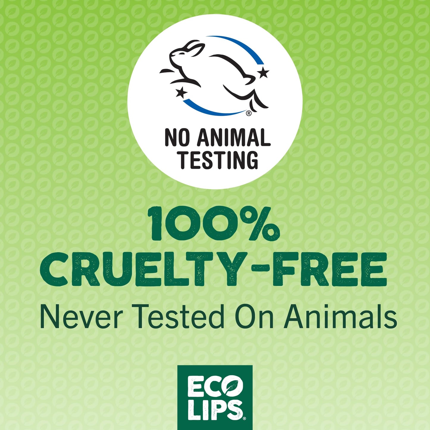 Eco Lips Blackberry Intensive Overnight Lip Mask 2-pack (0.39 oz.)- Repair & Restore Dry, Cracked, Chapped Lips Overnight - 100% USDA Organic Lip Care Treatment, Cruelty Free, Made in the USA