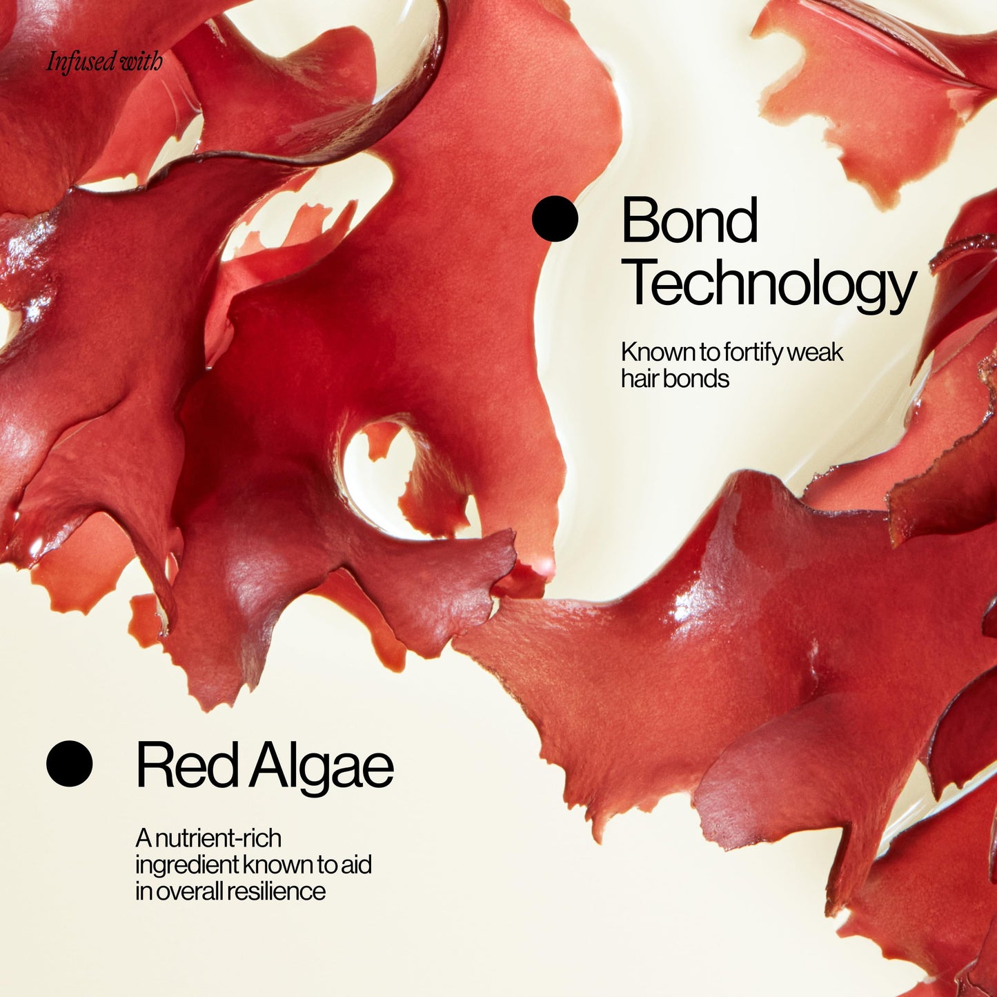 Eva NYC Repair Ritual Strength Conditioner, 10 fl oz