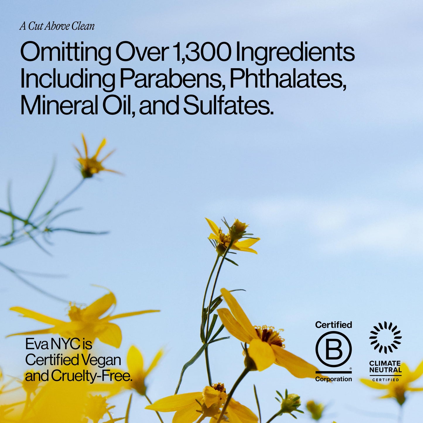 Eva NYC Repair Ritual Strength Conditioner, 10 fl oz