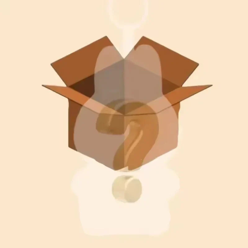 Rabu Doll Accessories Blind Box