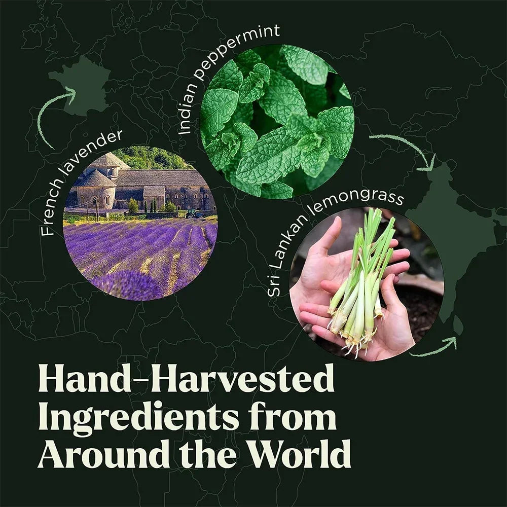 NAMSTE Must-Have Pure Essential Oils