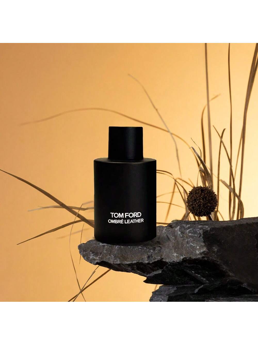 Tom Ford Ombre Leather Men