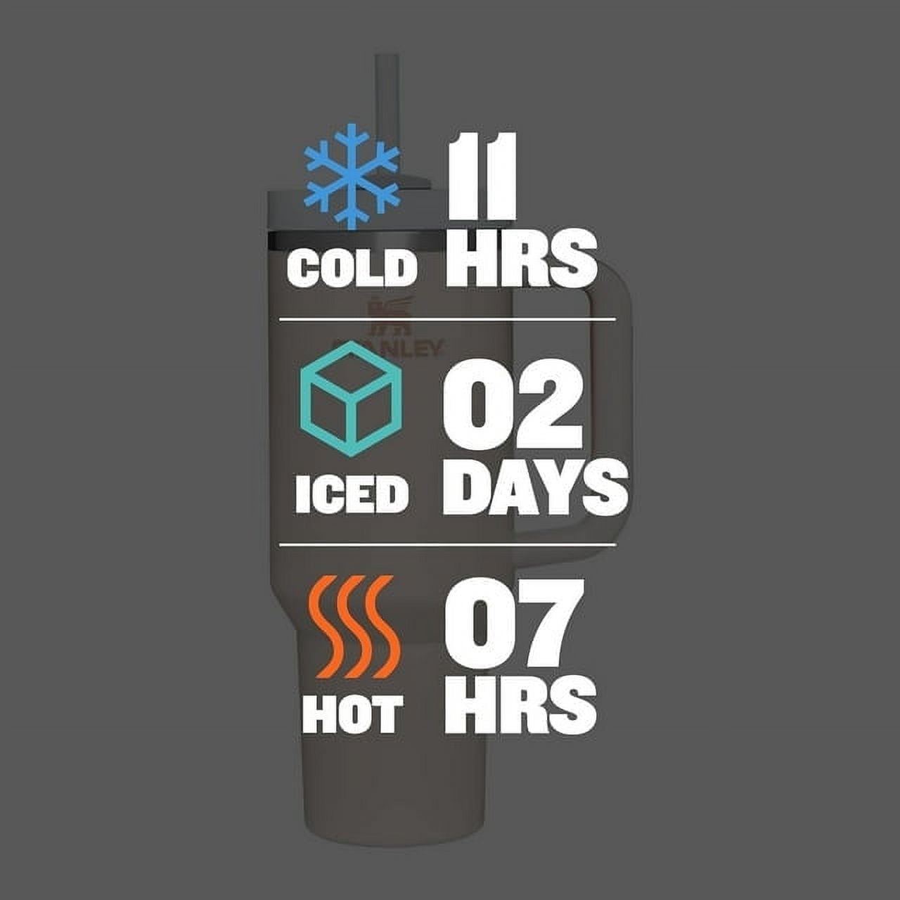 Stanley 40oz Pink Parade Tumbler